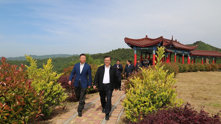 省人民檢察院黨組書(shū)記、檢察長(zhǎng)朱玉調(diào)研金徽股份